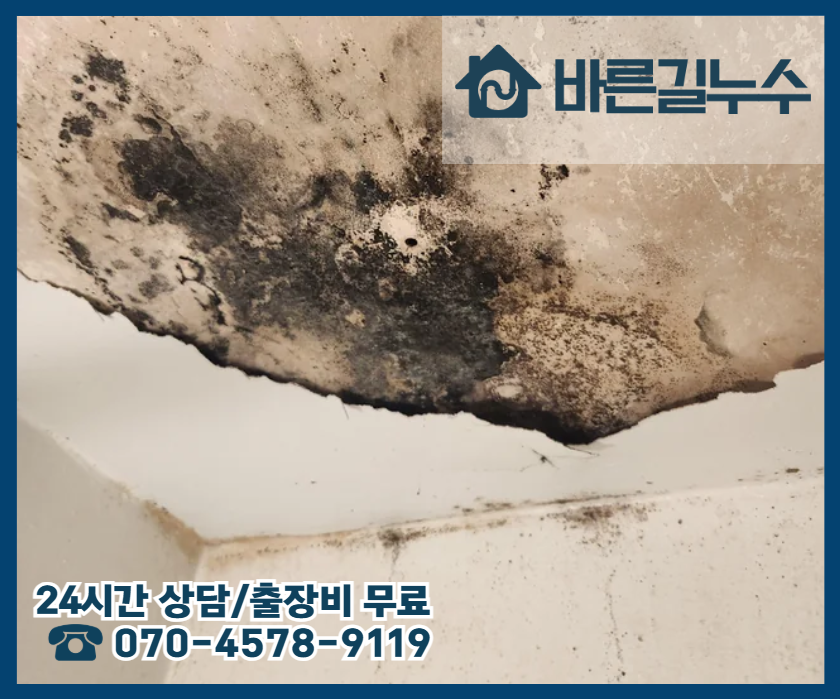원동 아파트 누수 곰팡이 피해